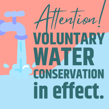 Website - News Flash Images